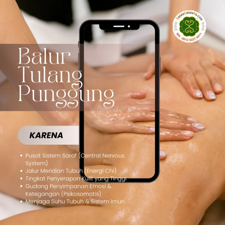 Titik Balur Minyak Sanga Sanga Ultimate Di Tulang Punggung